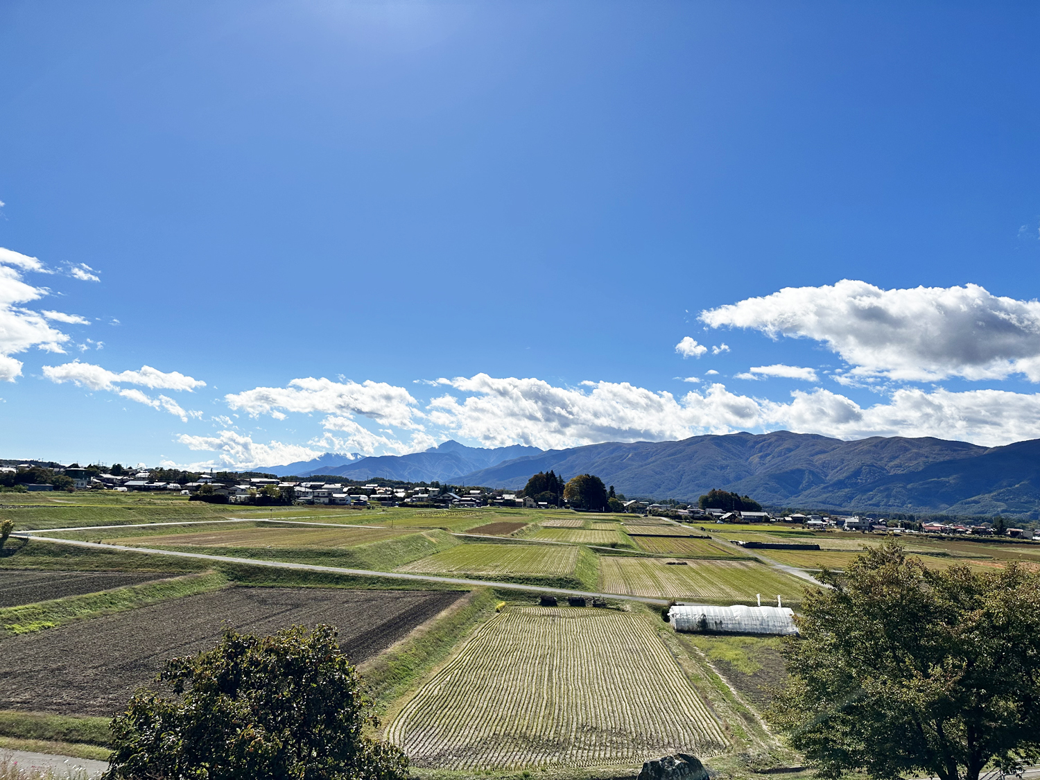 風景